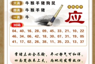 139期香港彩九肖30码中特