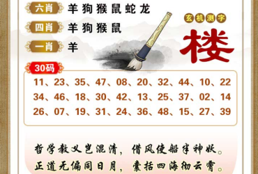 2025054期香港彩九肖30码中特