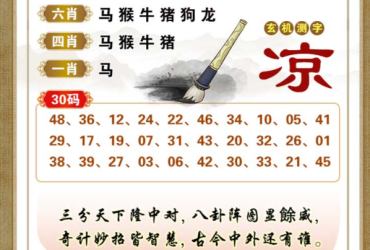 2025091期香港彩九肖30码中特